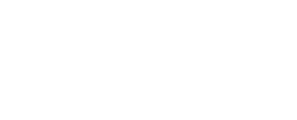 kiwiwebs